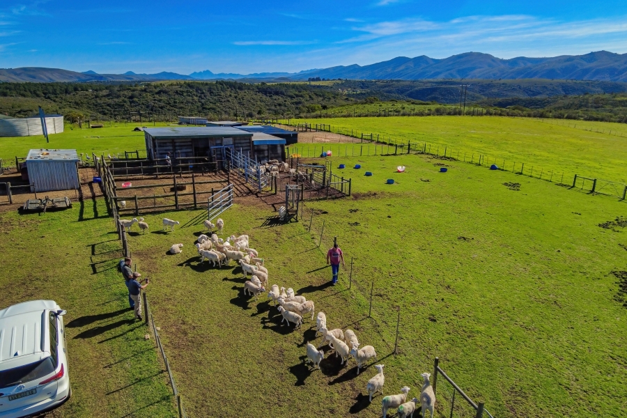 5 Bedroom Property for Sale in Elandsrivier Eastern Cape